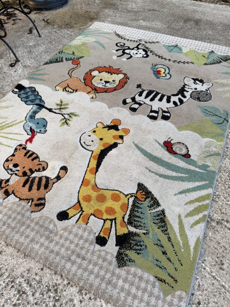 Tapis sale sur la commune de Toulon avant le passage de Keepclean83