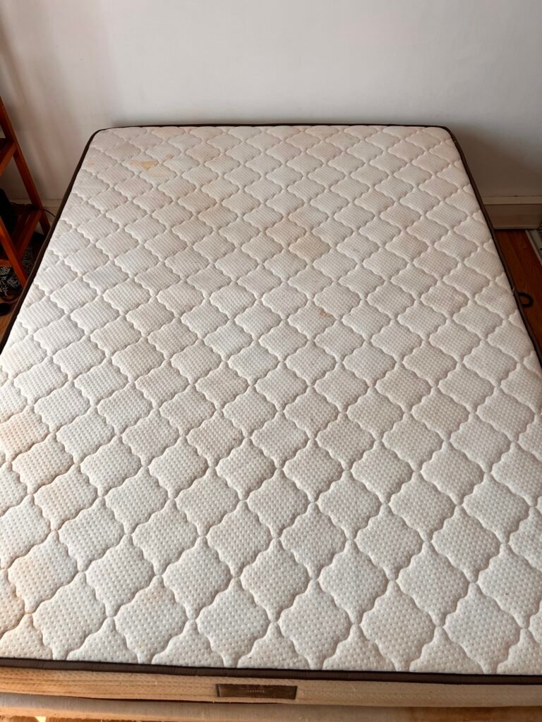 Nettoyage du matelas avec désinfection vapeur sur la ville de La Garde dans le Var.