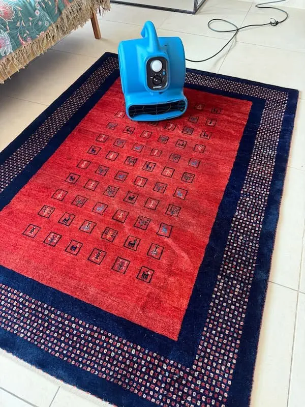 Séchage d’un tapis rouge après son nettoyage à domicile à La Garde par KeepClean83.